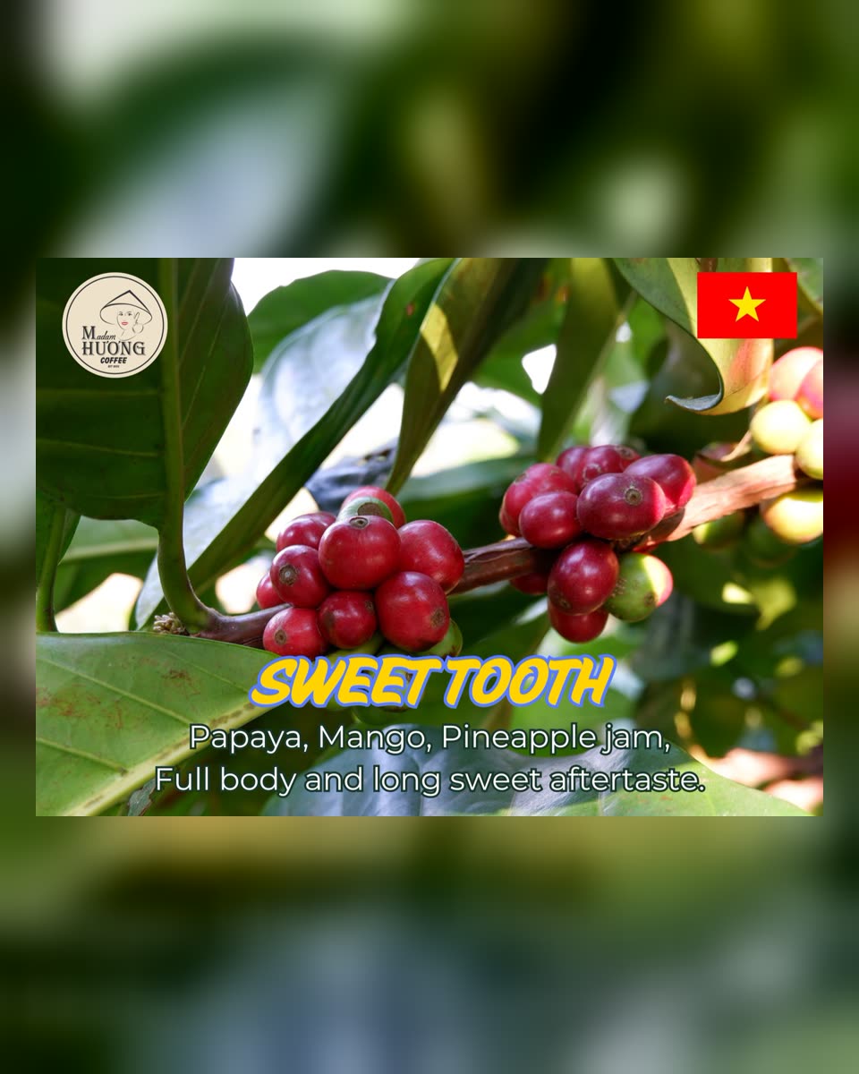 “Sweet Tooth”