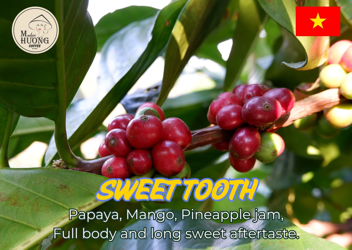 “Sweet Tooth” — 1/3