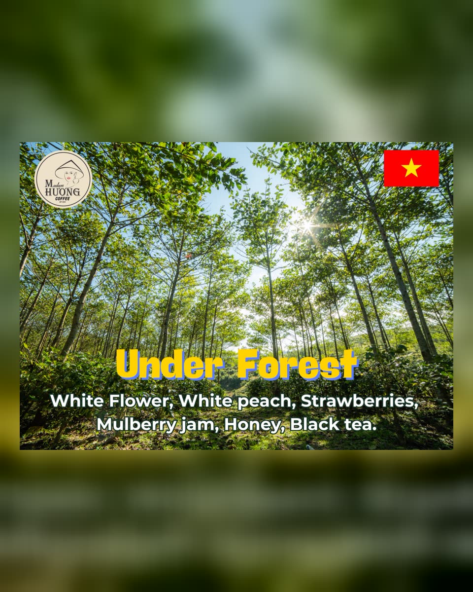 “Under Forest”